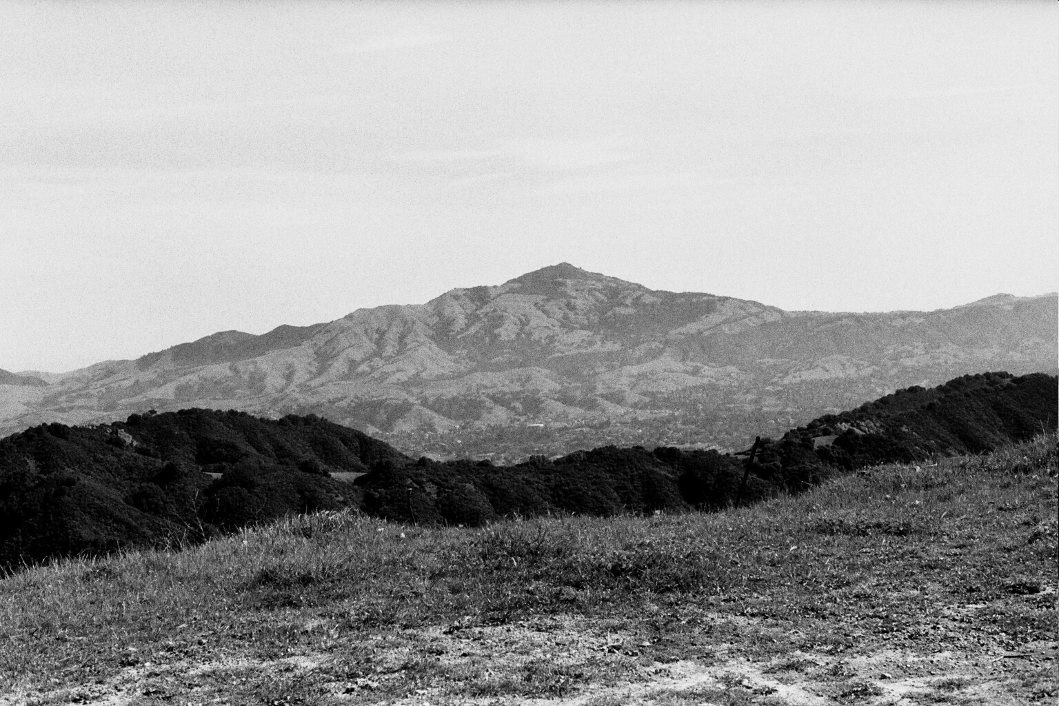 academic image goes here