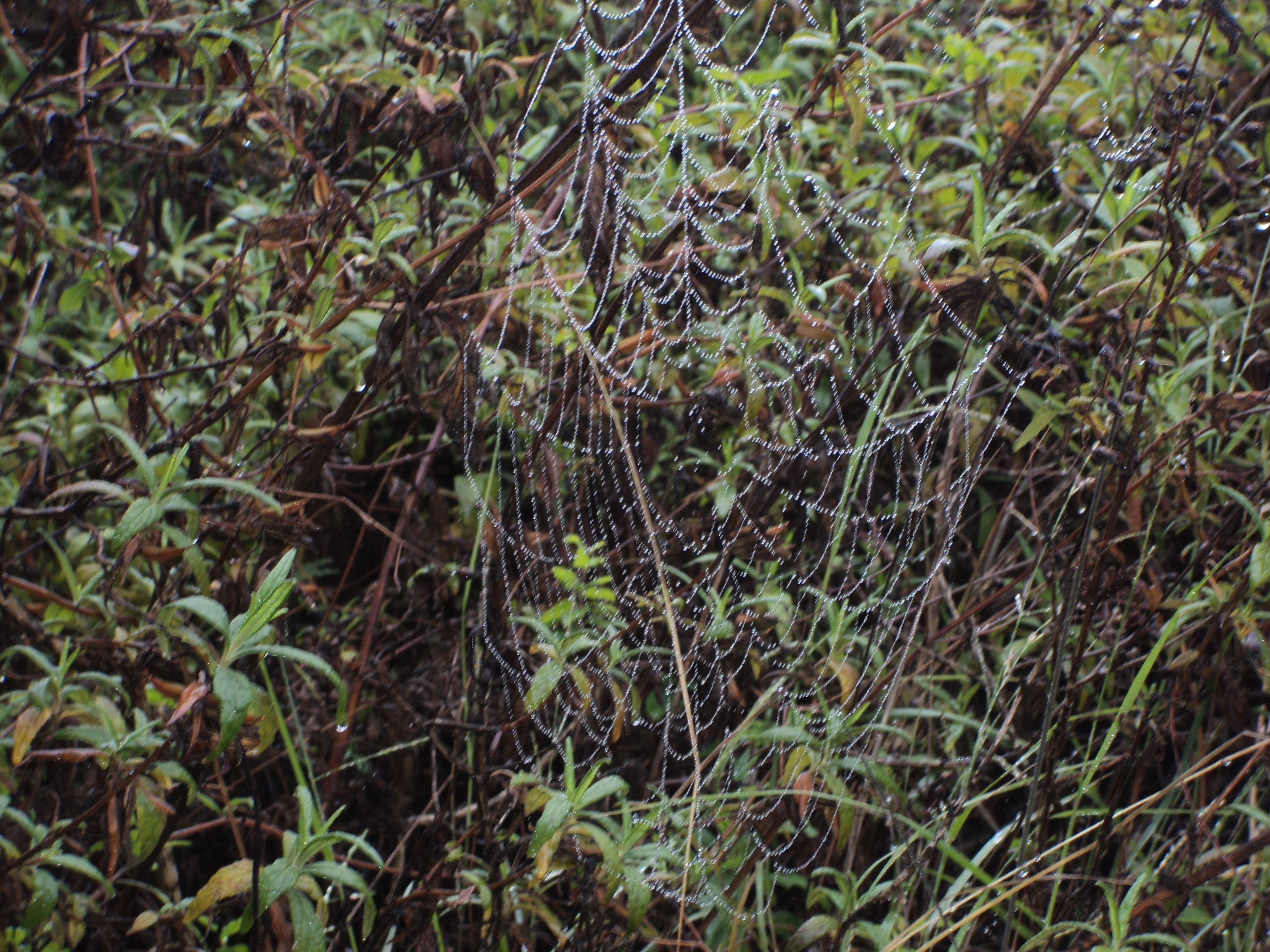 academic image goes here