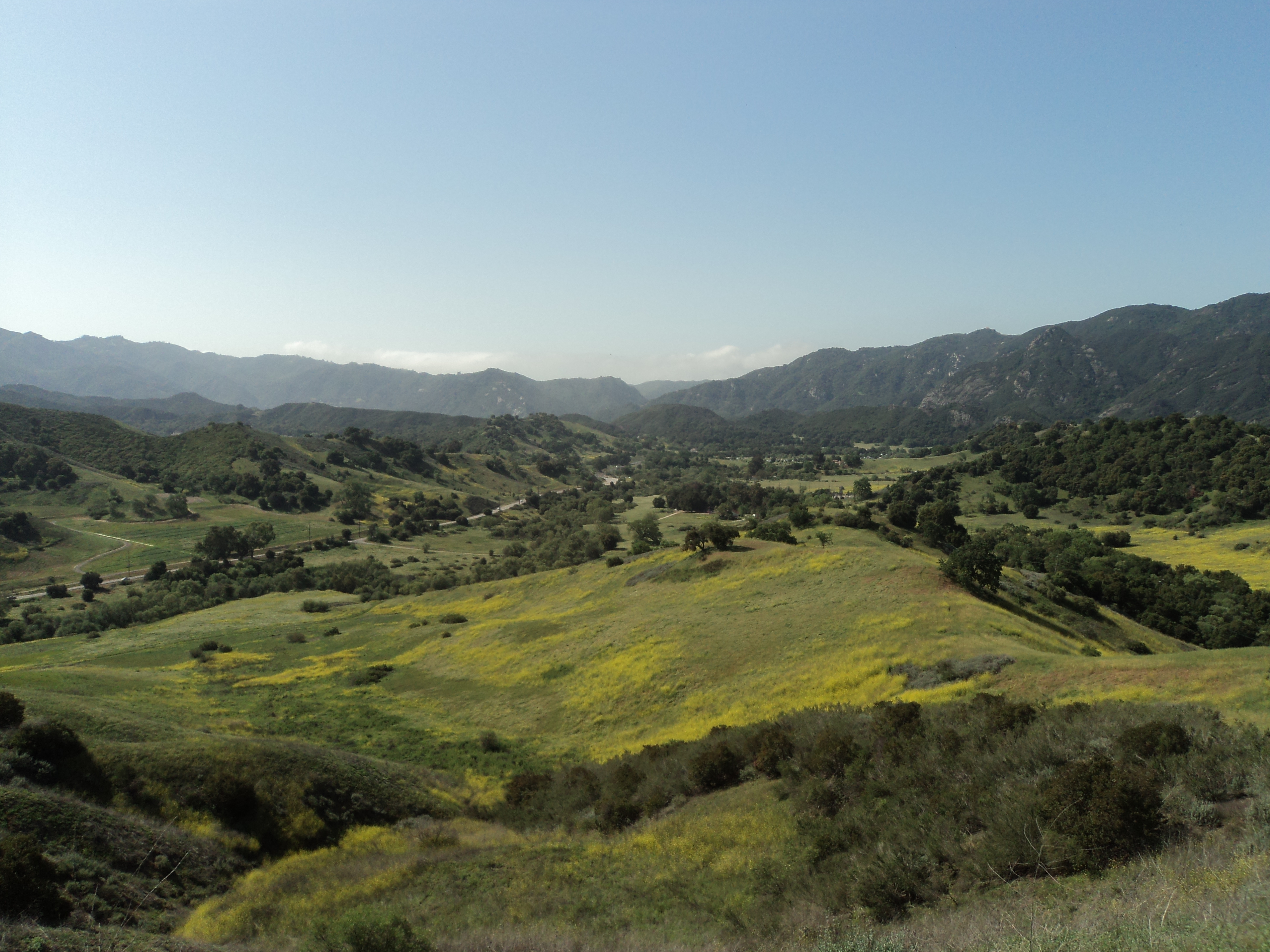 academic image goes here