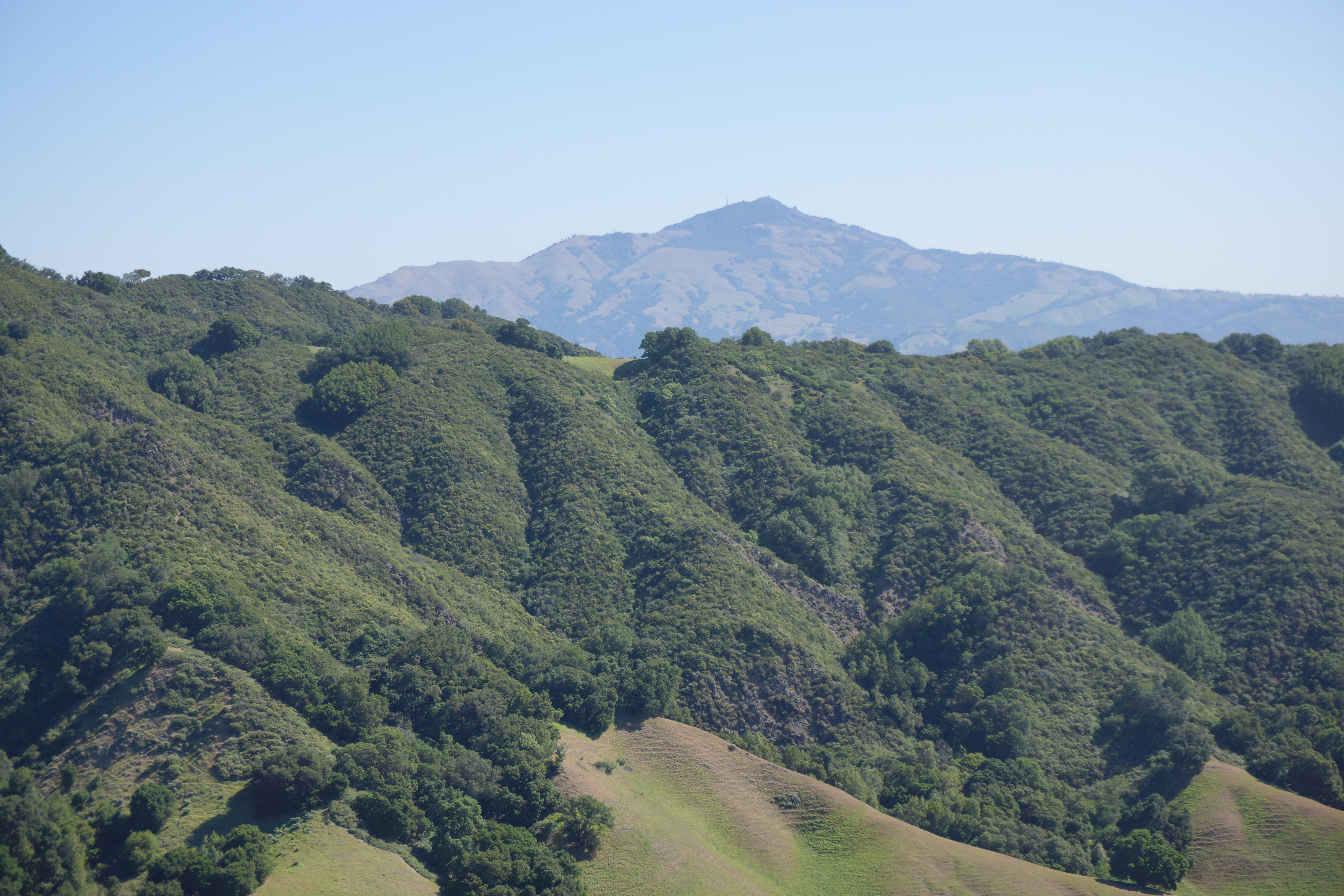 academic image goes here