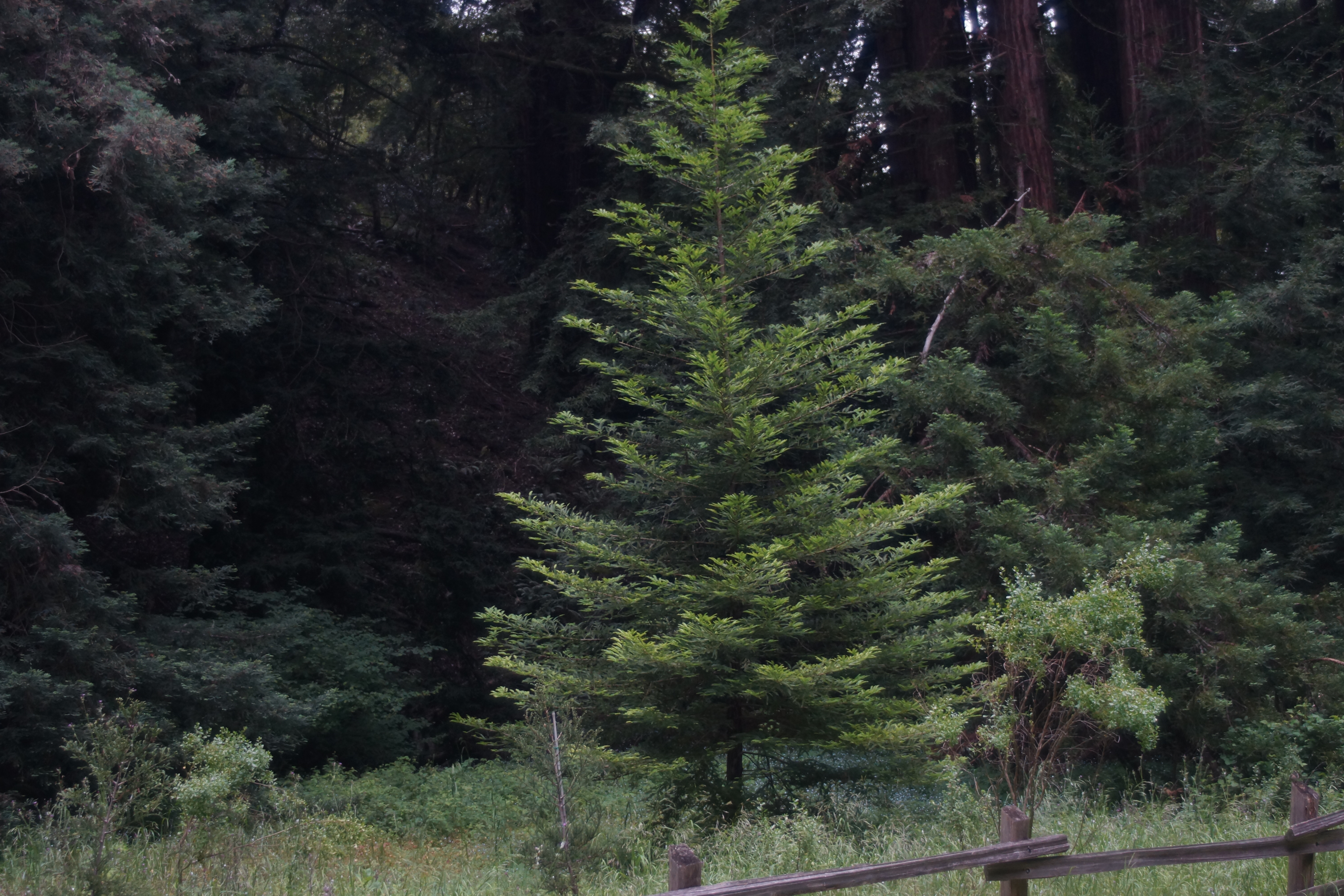 academic image goes here