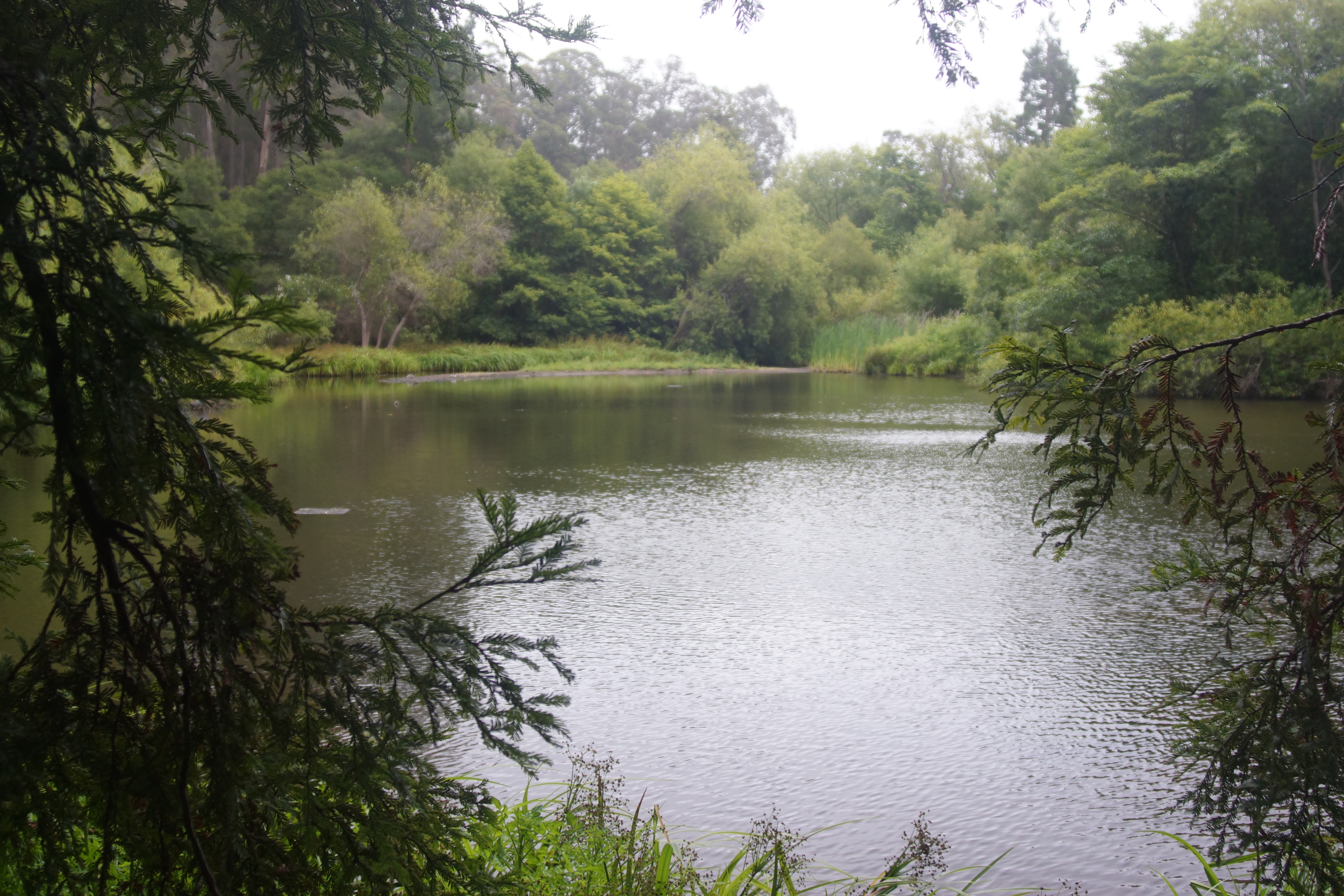 academic image goes here