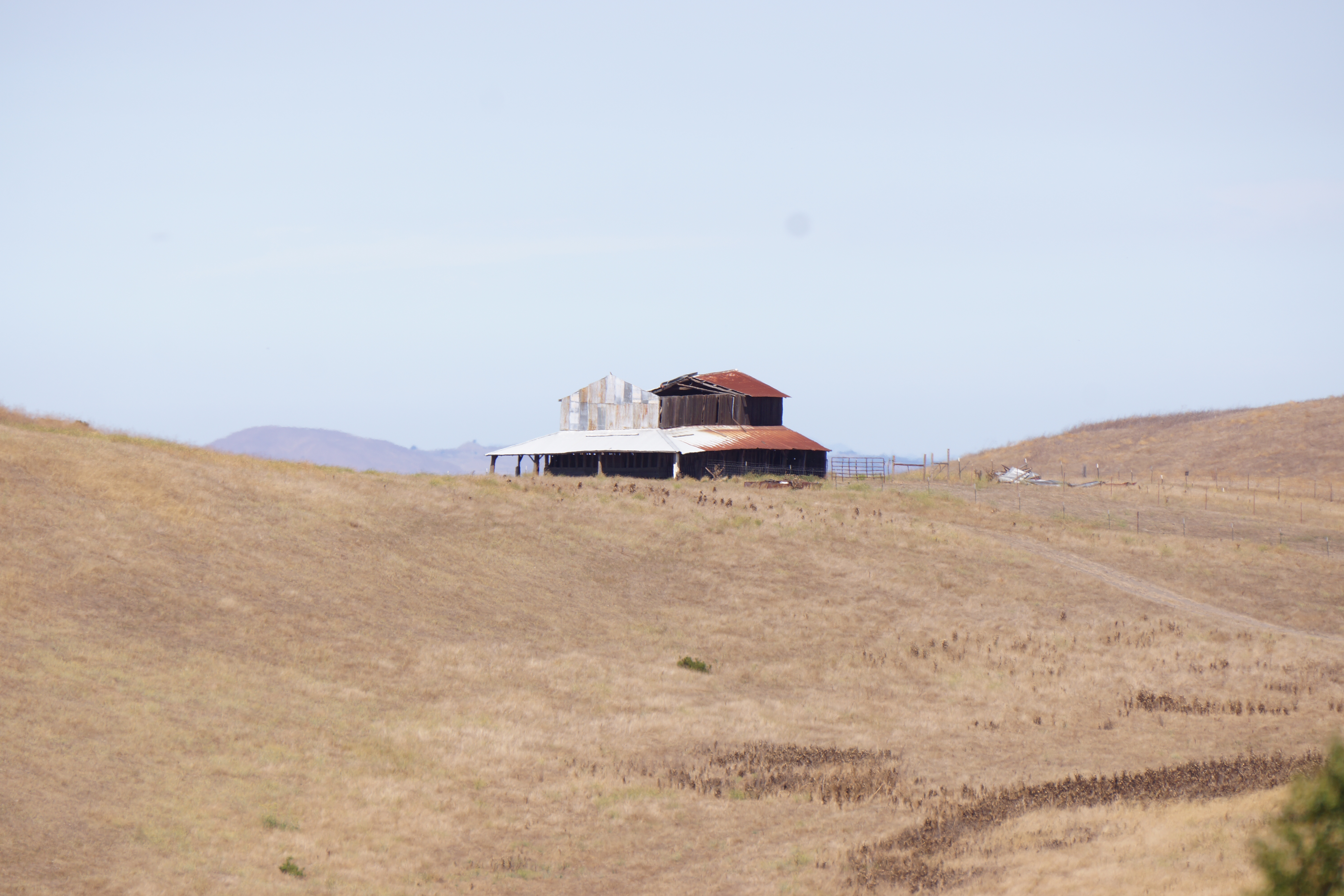 academic image goes here